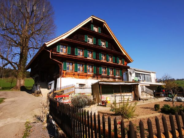 Garten-Holzhaus-Baum